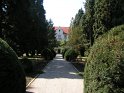 pict3645 (web)